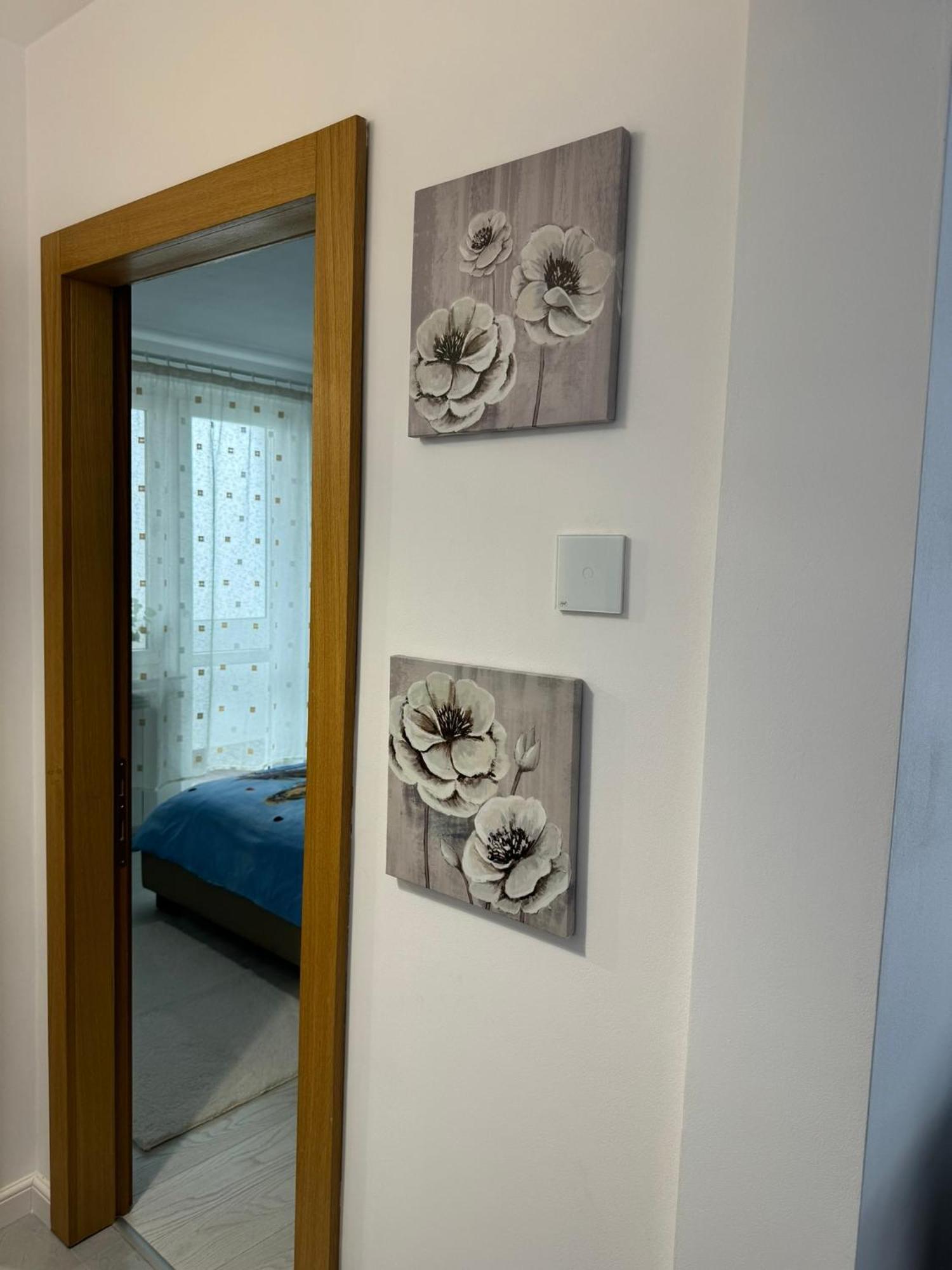 Râmnicu Vâlcea Apartament Central מראה חיצוני תמונה
